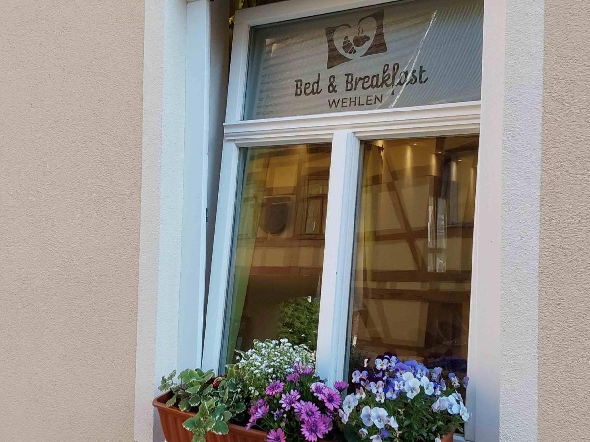 Bed And Breakfast Wehlen Stadt Wehlen Exterior photo